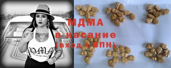 прущие грибы Новозыбков