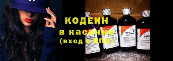 прущие грибы Новозыбков