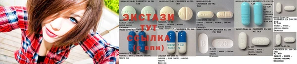 прущие грибы Новозыбков