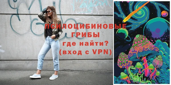 ПСИЛОЦИБИНОВЫЕ ГРИБЫ Новодвинск