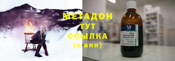 прущие грибы Новозыбков