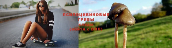 СК Новокубанск