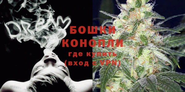 ПСИЛОЦИБИНОВЫЕ ГРИБЫ Новодвинск
