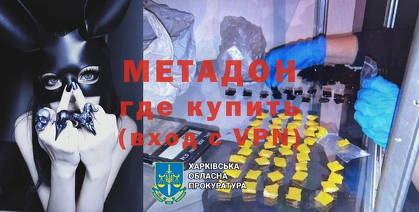 прущие грибы Новозыбков
