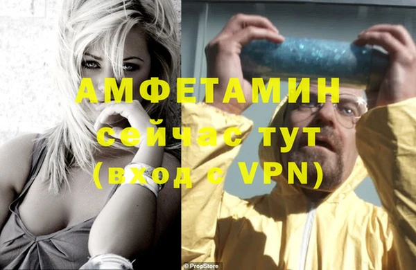 прущие грибы Новозыбков