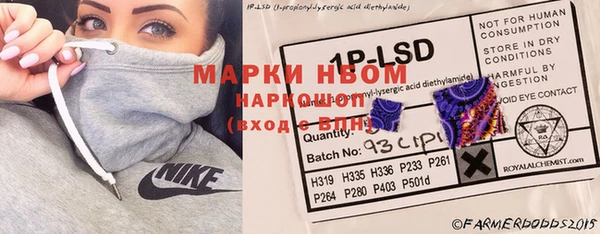 прущие грибы Новозыбков