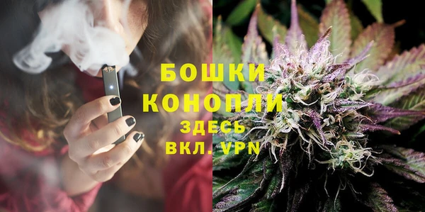 прущие грибы Новозыбков