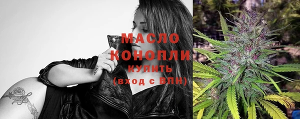 прущие грибы Новозыбков