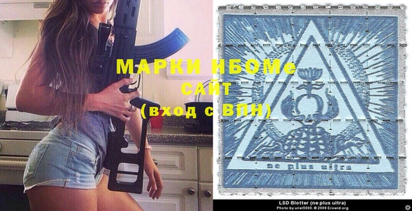 прущие грибы Новозыбков
