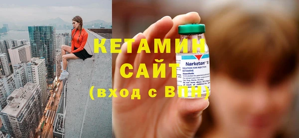 прущие грибы Новозыбков