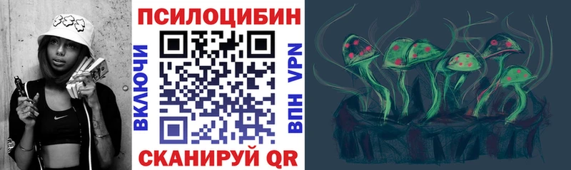 закладки  Усть-Илимск  Псилоцибиновые грибы Psilocybine cubensis 